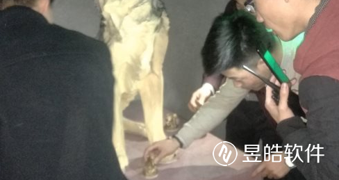 协同作战，勇闯难关