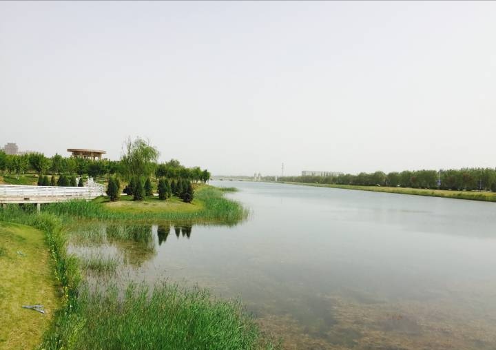 春暖花开日 春游正当时